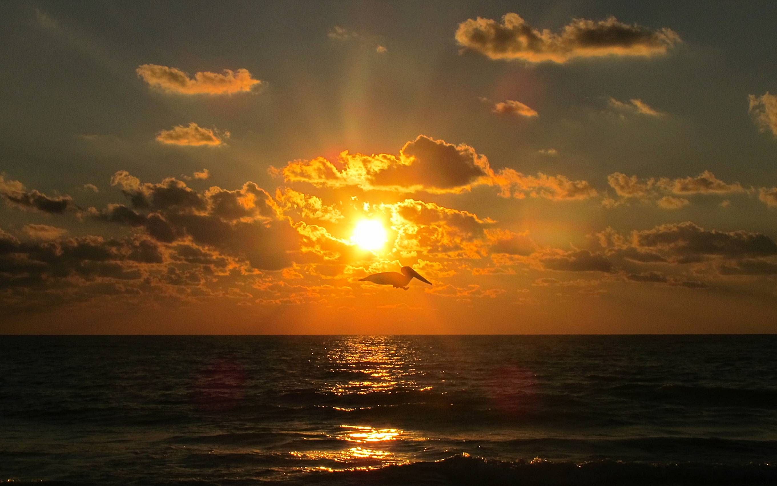 Getting near to Halloween in 2010.