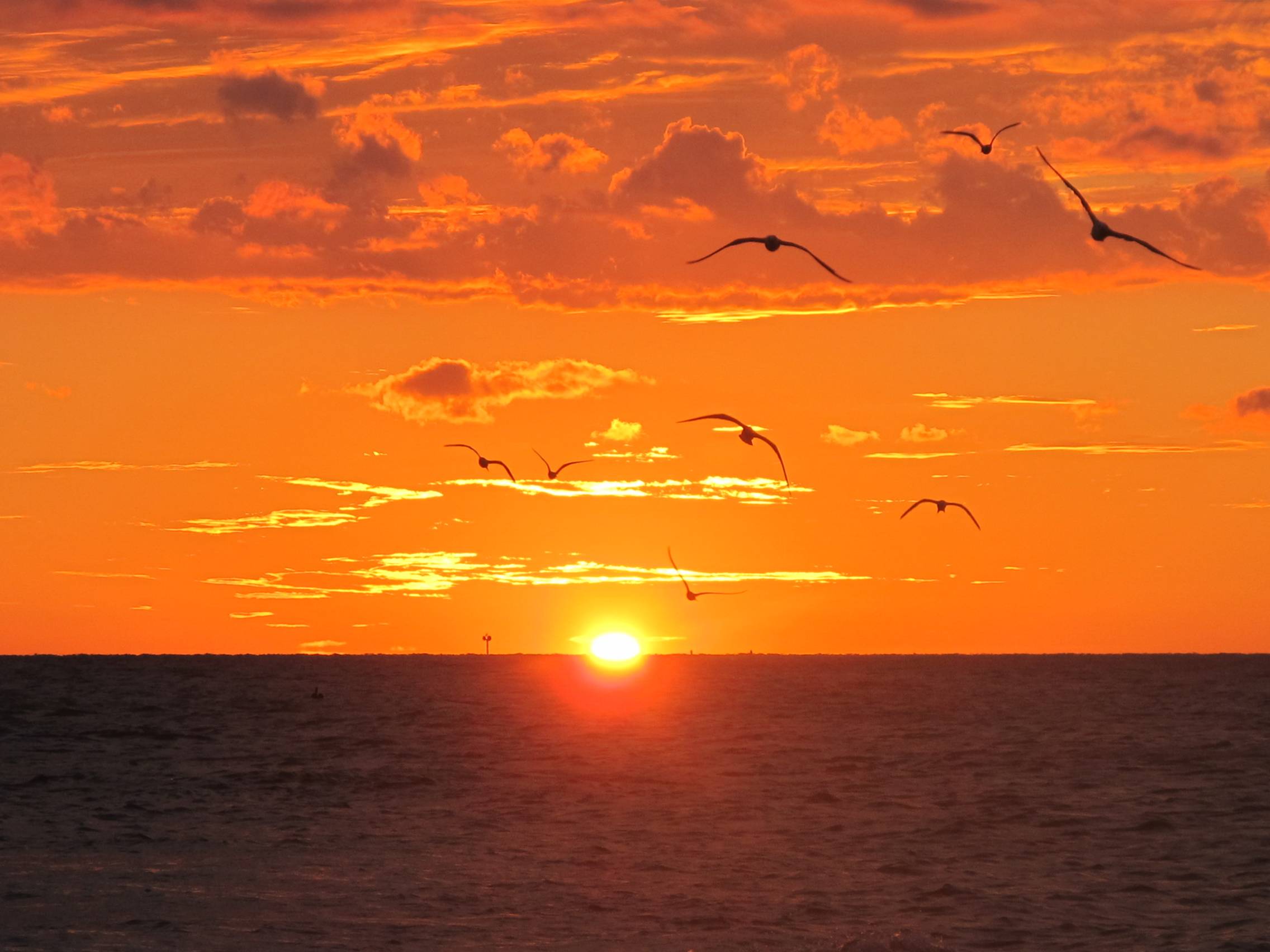 After a long day fishing off shore in TI.